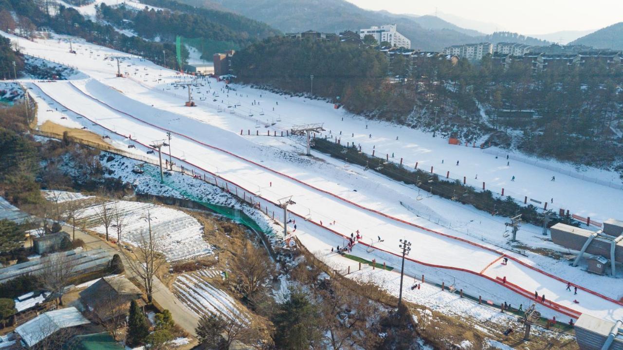 Bears Town Hotel Pocheon Exterior foto