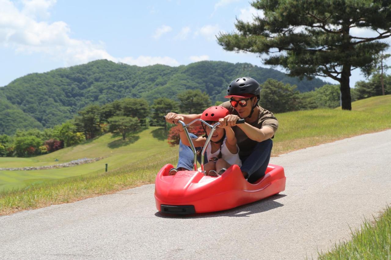 Bears Town Hotel Pocheon Exterior foto
